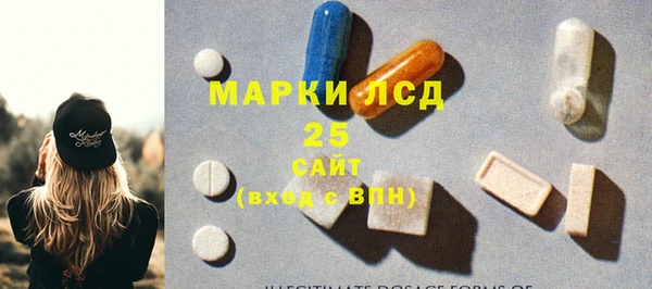 стафф Аркадак