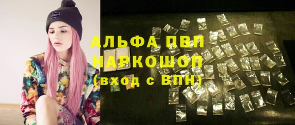 стафф Аркадак