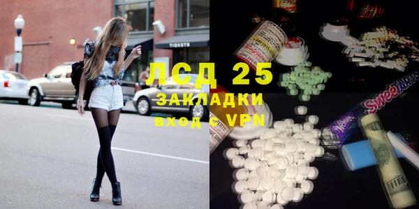 индика Абаза