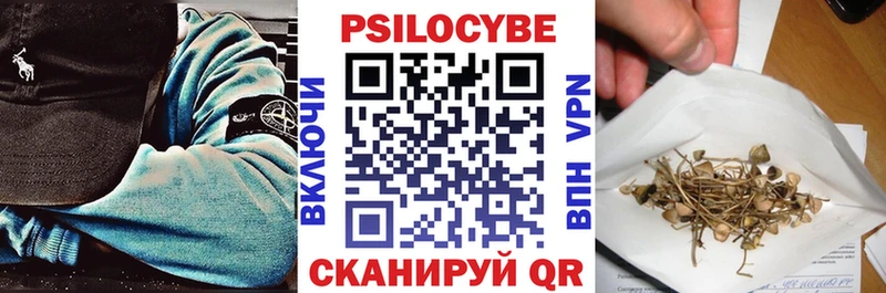 где найти наркотики  Балашиха  Галлюциногенные грибы прущие грибы 